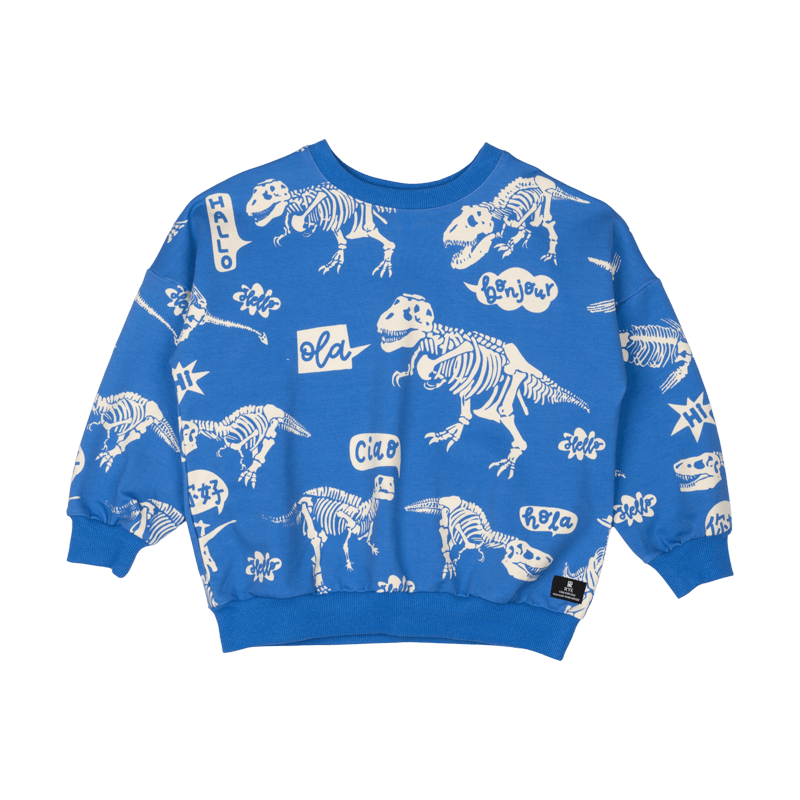 Kids hotsell dinosaur sweatshirt